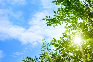 夏の終わりは に注意 今気を付けるエイジングポイントって 株式会社 イー エス エス