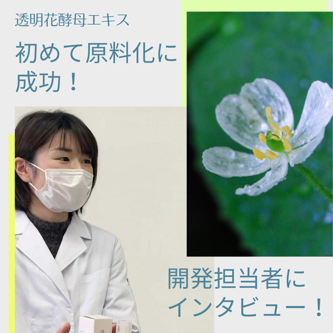 大自然が育んだ透明花 サンカヨウ 初めて原料化に成功した開発者にお話を伺いました 株式会社 イー エス エス